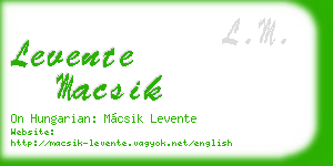levente macsik business card