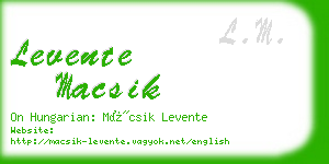 levente macsik business card